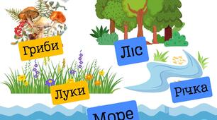 Діагностична робота "Гриби. Природні угруповання"