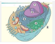 06004m2c-c288-185x147.png