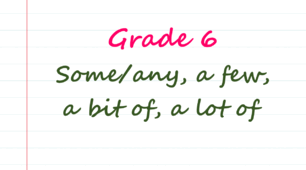 Grade 6. Some/any, a lot of, a bit of, a few