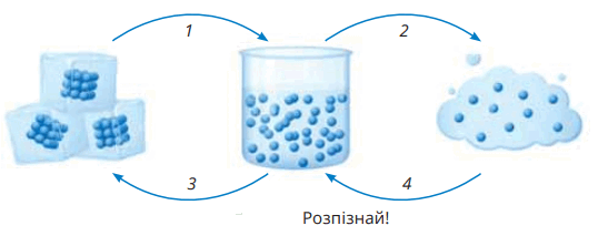 06004n8i-9689-538x213.png