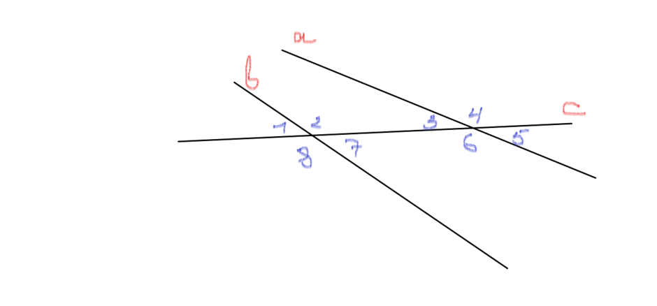 06004opo-3377-940x438.png