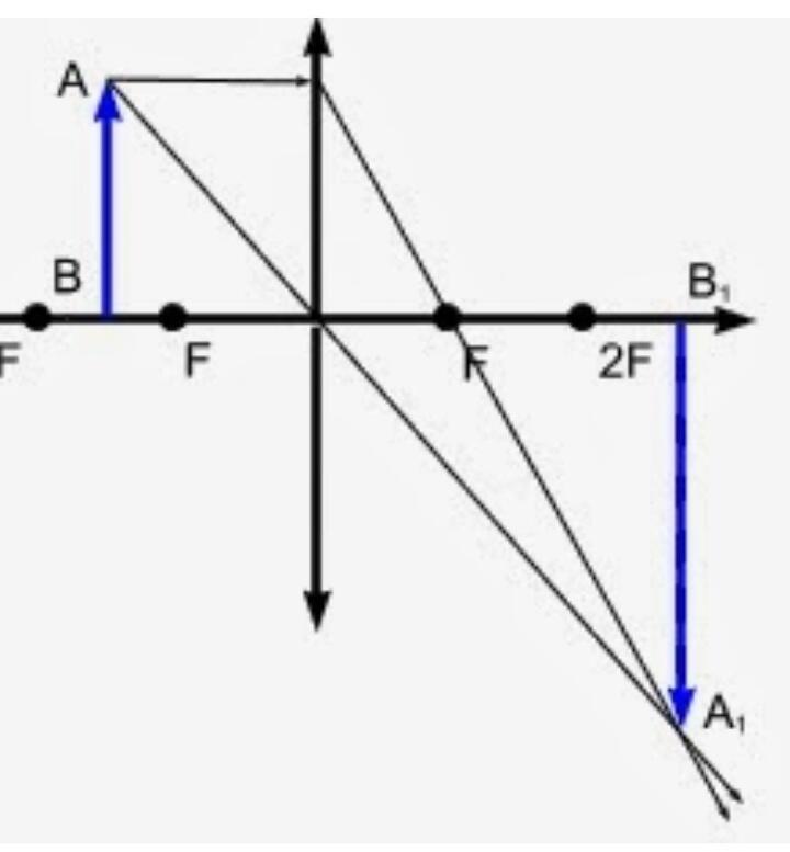 06004reg-c0e8-720x777.jpg
