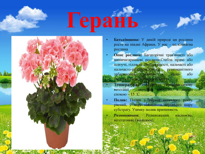 06004sjr-e2fd-700x525.jpg