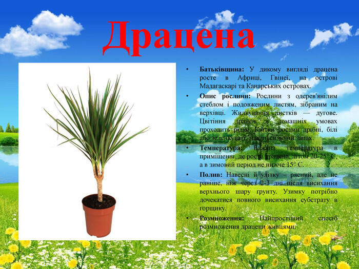 06004sp2-fc14-700x525.jpg