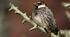 Підготовка до НМТ з біології. Тема. Біосфера