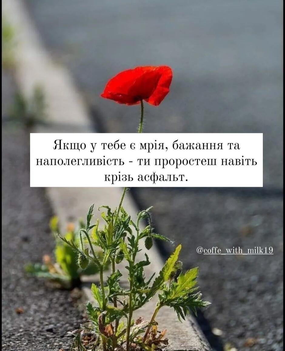 06004t5m-24a9-940x1158.jpg