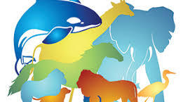 Тестування до Full Blast 6 Module 5d "Animal protection" & The First Conditional