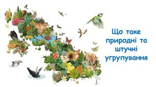 Презентація на тему "Що таке природні та штучні угрупування" 6 клас НУШ