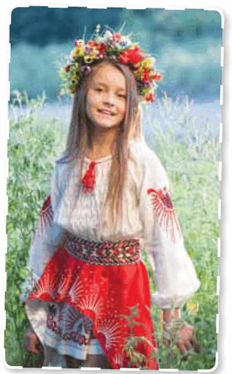 06004x8m-9230-467x750.png