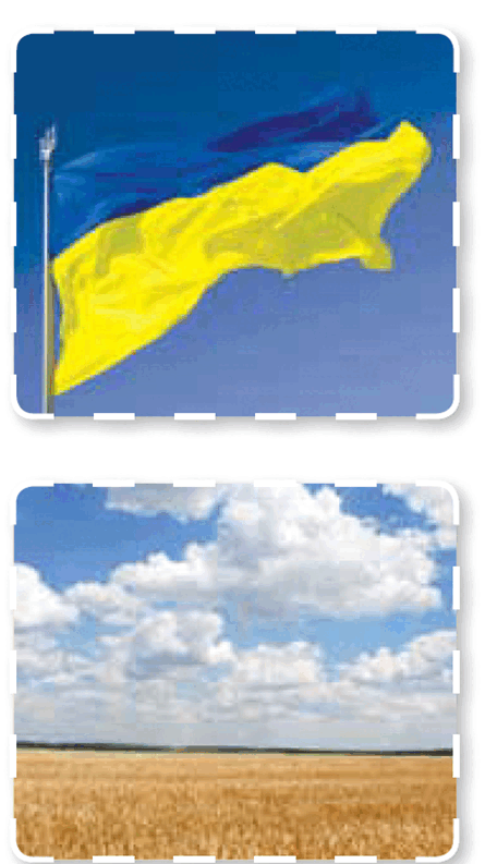 06004x9c-62d3-445x793.png