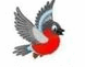 06004xv6-6523-100x78.png