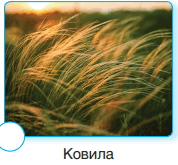 0600503c-a42d-178x165.png