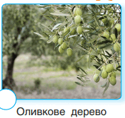 0600503s-61c8-176x167.png