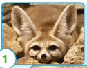 0600506t-92e5-126x99.png