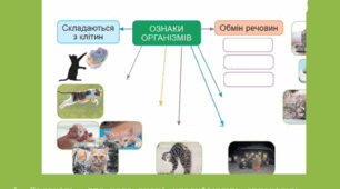 БУДОВА РІЗНИХ ГРУП ОРГАНІЗМІВ