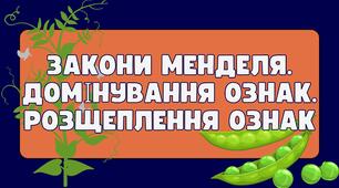 Презентація на тему: "Закони Менделя. Домінування ознак. Розщеплення ознак"