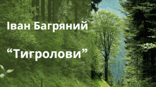 Тести Іван Багряний "Тигролови"