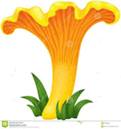 060054j5-f07b-134x142.png