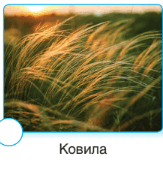 060054r9-1409-258x267.png