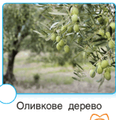 060054rj-aa72-235x244.png