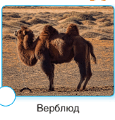 060054s9-ef8d-290x301.png