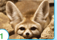 060054t7-3a2c-252x178.png