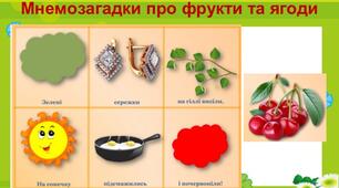 Заняття : "Вишня - джерело життя"