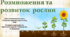 Розмноження та розвиток рослин. "Пізнаємо природу", 6 клас НУШ, за програмою авт. Коршевнюк Т. В.