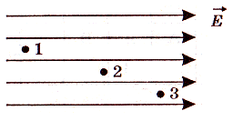 060058op-dd94-256x133.png