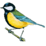 06005blo-0f55-91x91.png