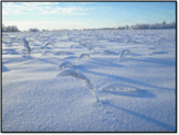 06005c2n-4573-163x123.png