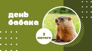 Презентація "День бабака. 2 лютого."