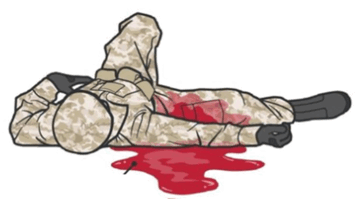 06005di3-e80f-360x199.png