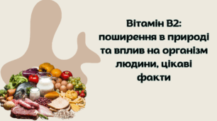 Презентація "Вітамін В2: поширення в природі та вплив на організм людини, цікаві факти".