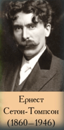 06005hh4-88a4-208x421.png