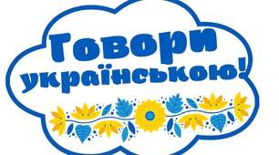 Діагностувальна робота з теми "Іменник"