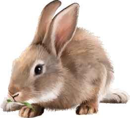 06005ide-c51c-263x238.png