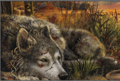 06005iho-b9bd-234x159.png