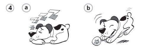 06005kjl-8578-503x187.png