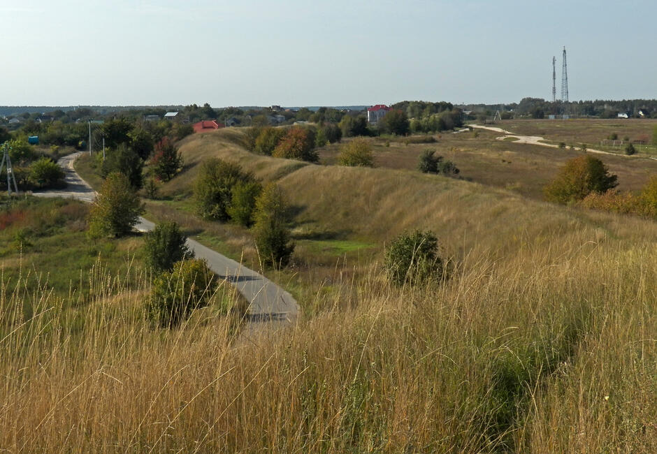 06005lqz-9099-940x650.jpg