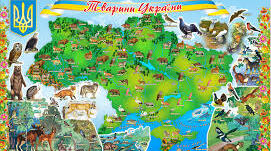 Тваринний світ України. Різноманітність тваринного світу.   Тварини, занесені до Червоної книги України. Вплив людини на тваринний світ. Тваринний світ своєї місцевості.