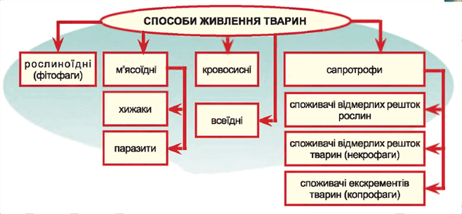 способи живлення тварин.png