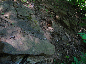 06005x5k-c926-300x225.jpg