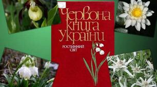 Презентація "Як підтримувати різноманітність рослин на Землі?"
