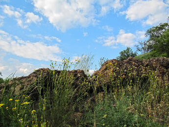 06005xty-2325-345x259.jpg