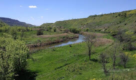 06005y5d-72aa-272x160.jpg