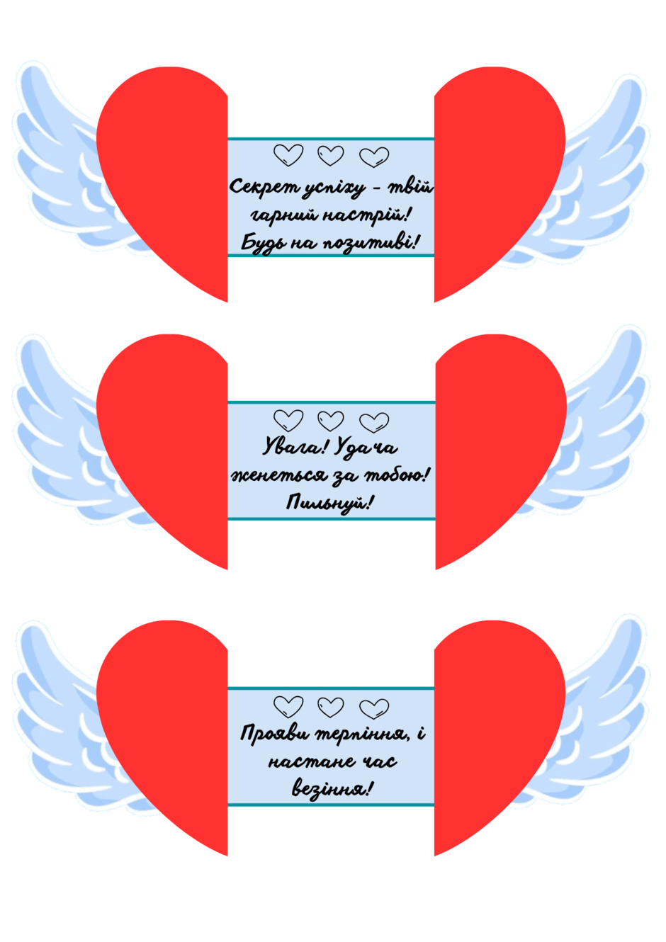 06005z79-5d6d-940x1330.png
