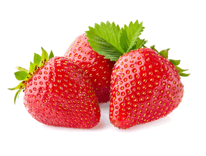 0600619t-21e7-588x446.png