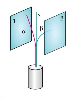 060061g4-0f05-274x378.png