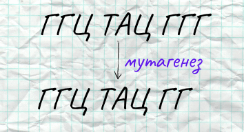 060064fh-1a56-450x244.png